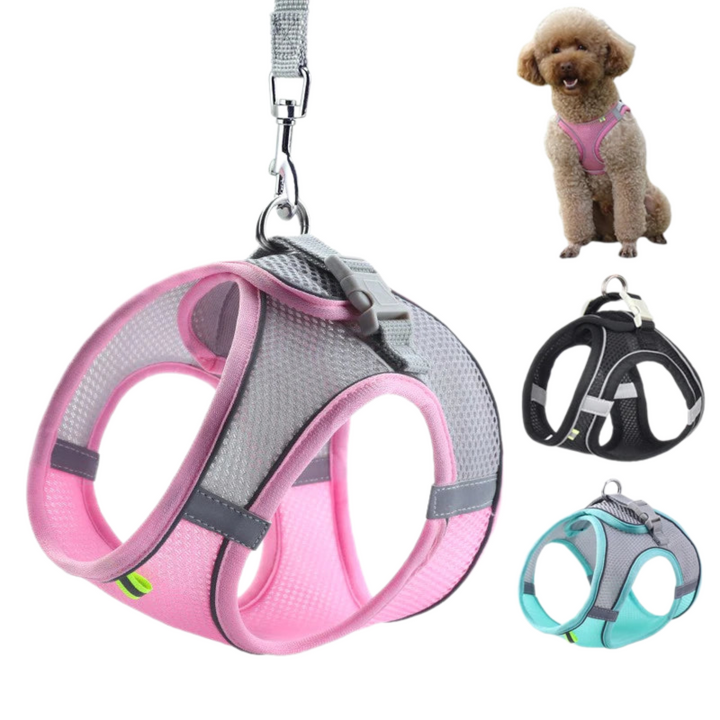 Harness Leash Set for Small Dogs & Cats | Adjustable Puppy/Cat Vest