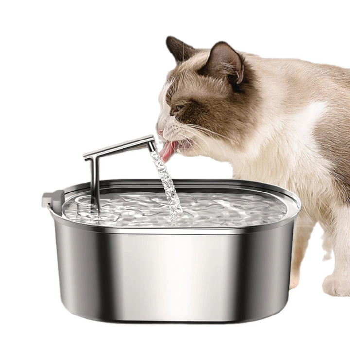 Stainless Steel Pet Water Fountain | Automatic Cat and Dog Water Dispenser