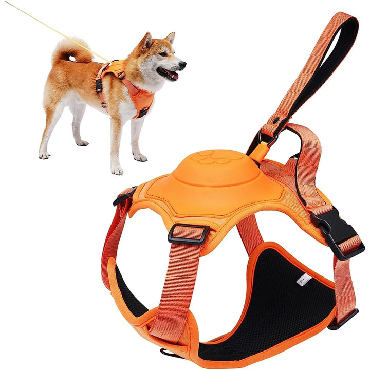 Dog Harness & Retractable Leash Set | Anti-Burst & Breathable