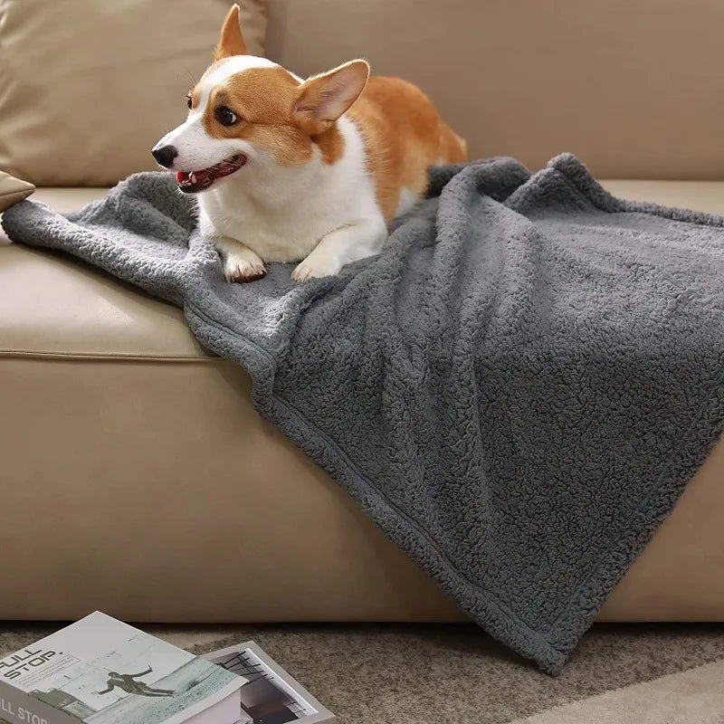 Calming Blankets | Premium Pet Blanket Protector