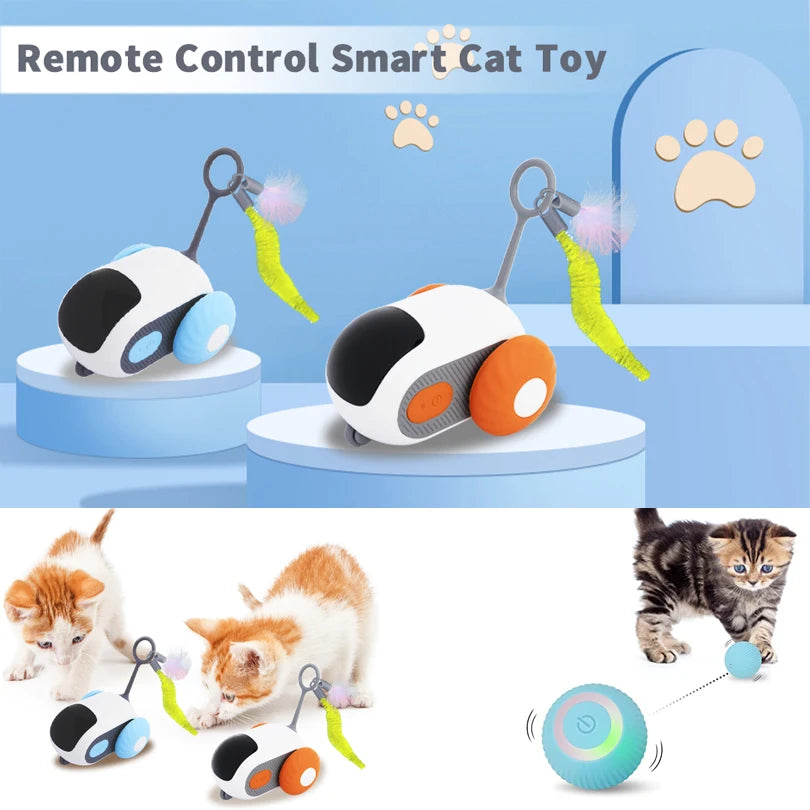 Cat Interactive Car Toy | Moving Mouse & Fun Ball