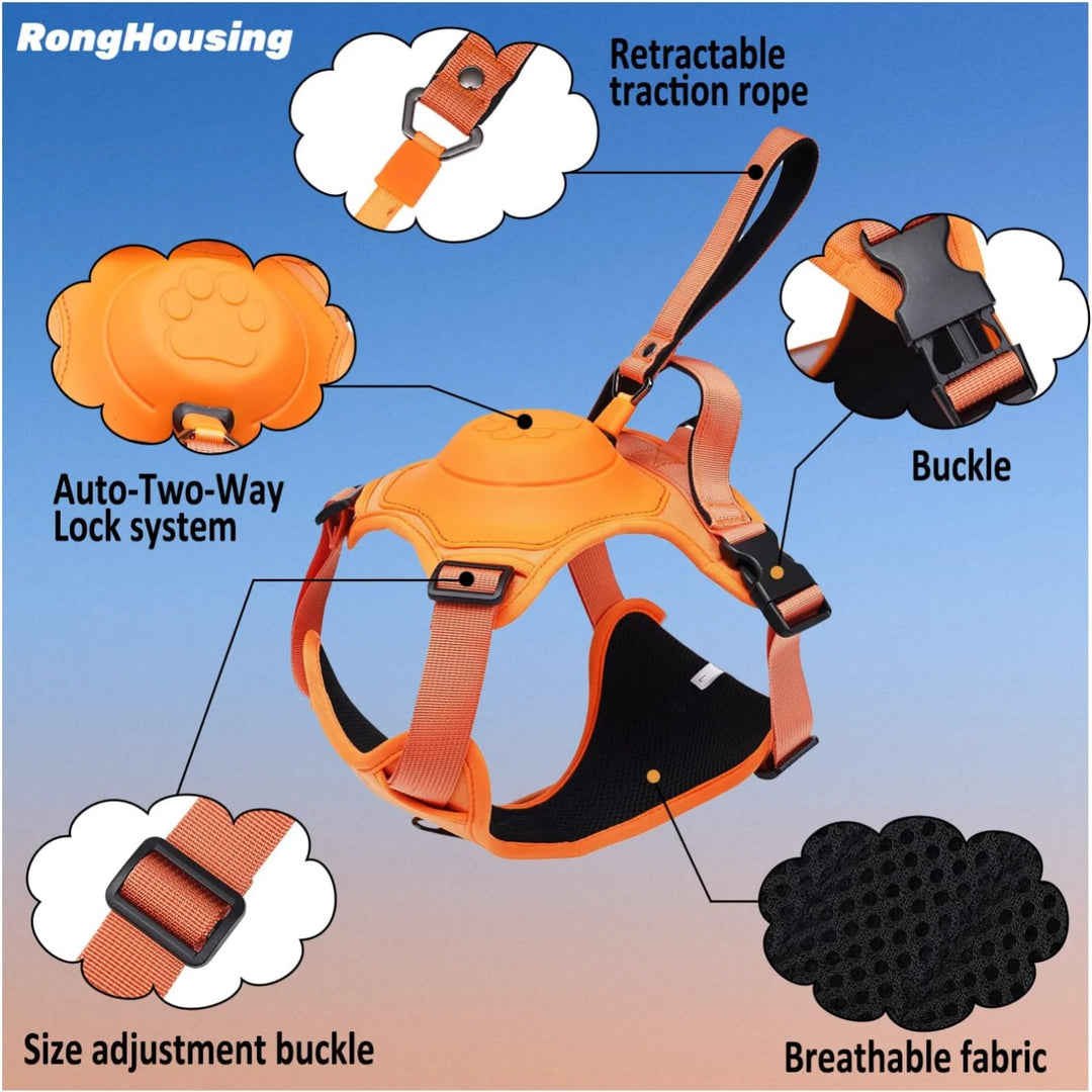 Dog Harness & Retractable Leash Set | Anti-Burst & Breathable