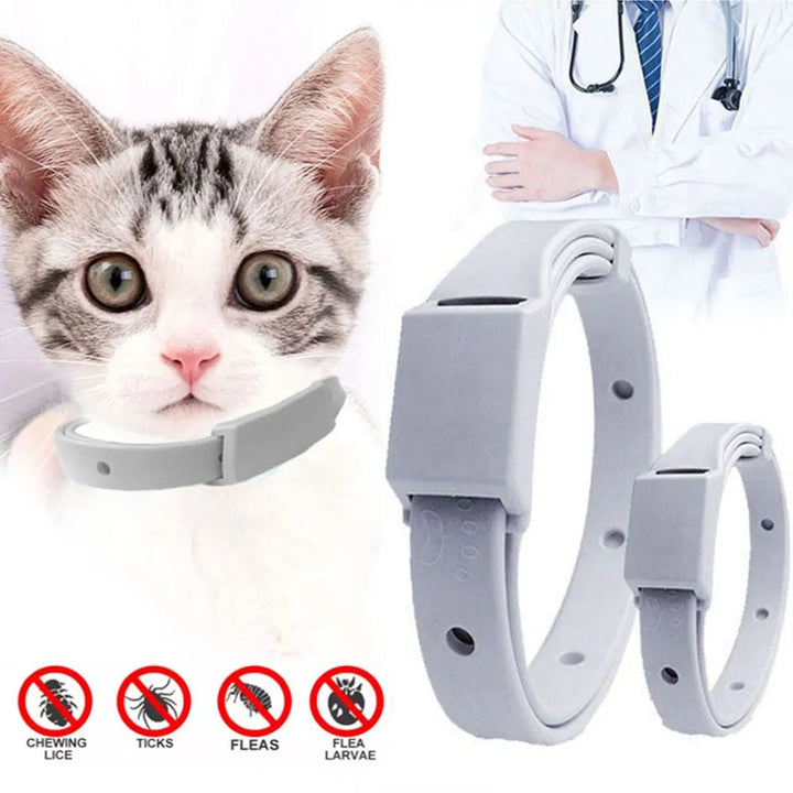 Anti Flea Tick Collar For Cats & Small Dogs | Antiparasitic 8 Month Protection