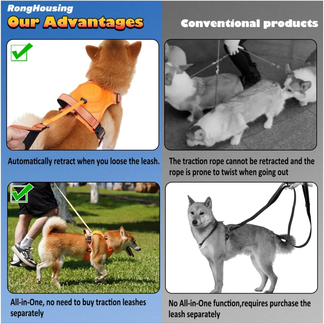 Dog Harness & Retractable Leash Set | Anti-Burst & Breathable