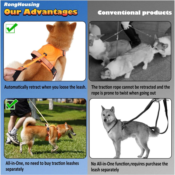 Dog Harness & Retractable Leash Set | Anti-Burst & Breathable